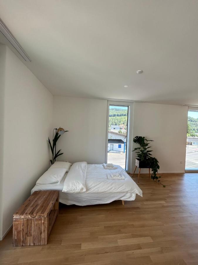 The R Apartment Passwang, Klima, Neu, Balkon, Parking Balsthal Ngoại thất bức ảnh