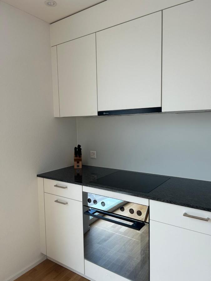 The R Apartment Passwang, Klima, Neu, Balkon, Parking Balsthal Ngoại thất bức ảnh