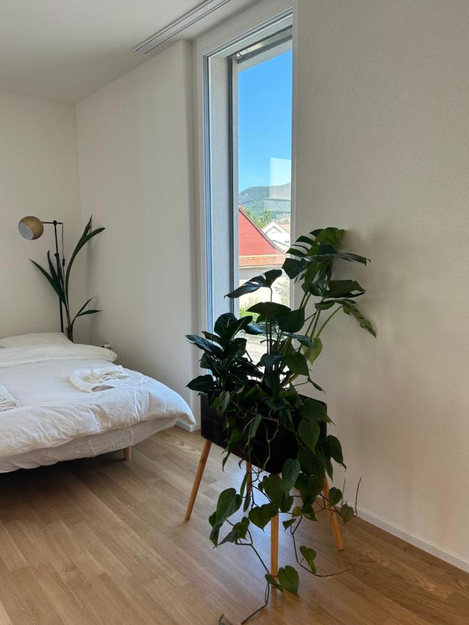 The R Apartment Passwang, Klima, Neu, Balkon, Parking Balsthal Ngoại thất bức ảnh