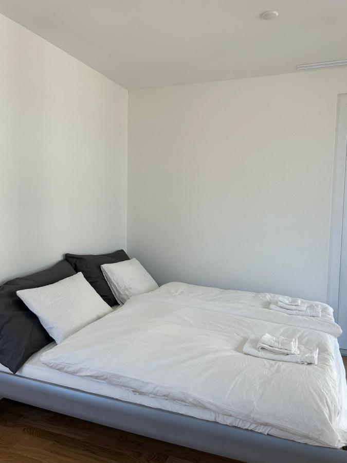 The R Apartment Passwang, Klima, Neu, Balkon, Parking Balsthal Ngoại thất bức ảnh