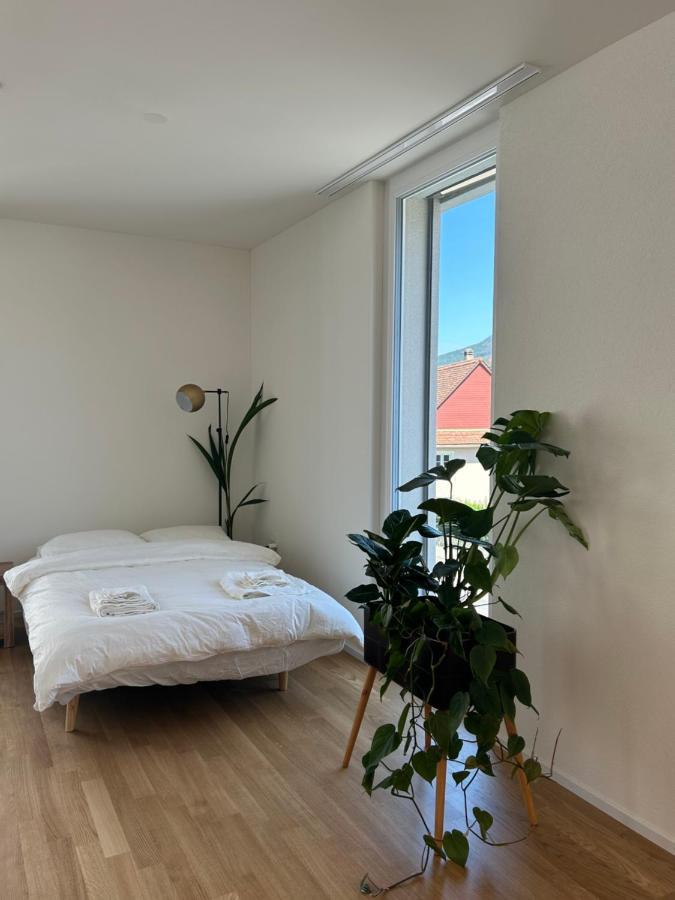 The R Apartment Passwang, Klima, Neu, Balkon, Parking Balsthal Ngoại thất bức ảnh