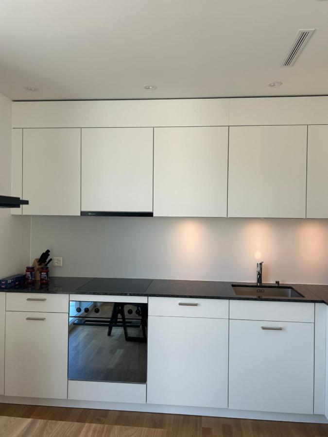 The R Apartment Passwang, Klima, Neu, Balkon, Parking Balsthal Ngoại thất bức ảnh